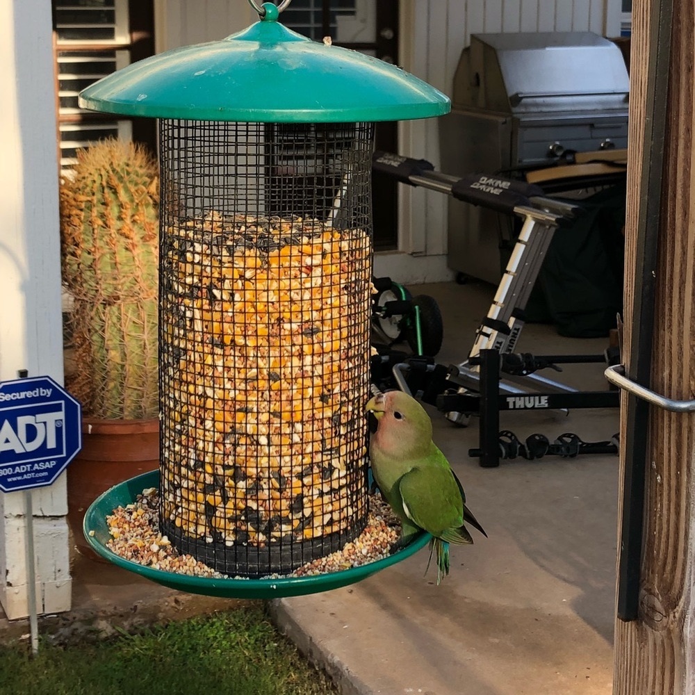 Meet your Posher, Sonia